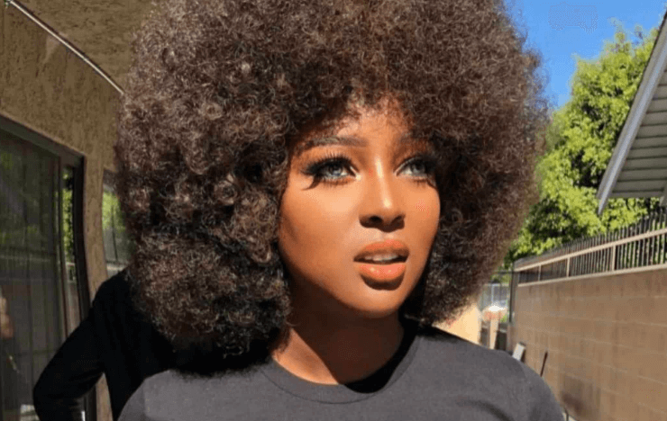 Amara La Negra Net Worth