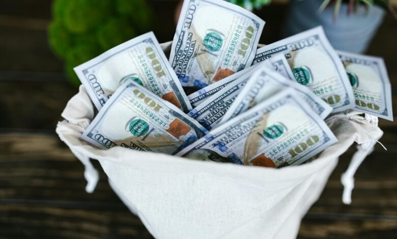 erika kullberg s financial success